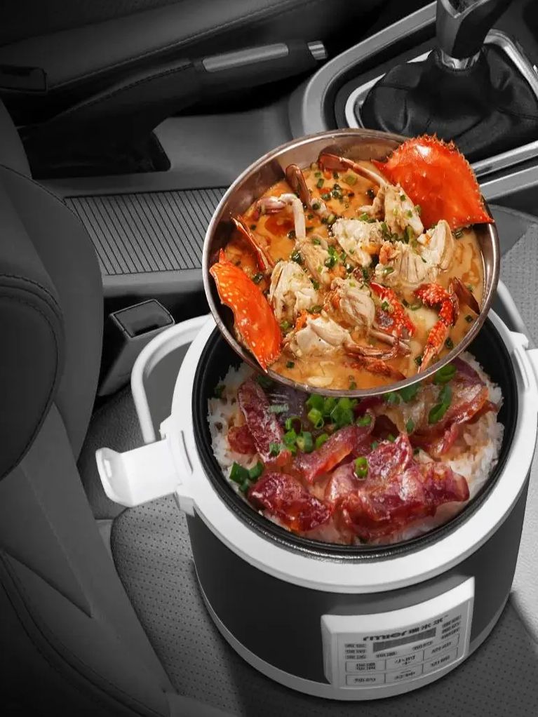 ARIER 12-24V 220V Rice Cooker  - đánh giá và giá Camping Cooking Basket